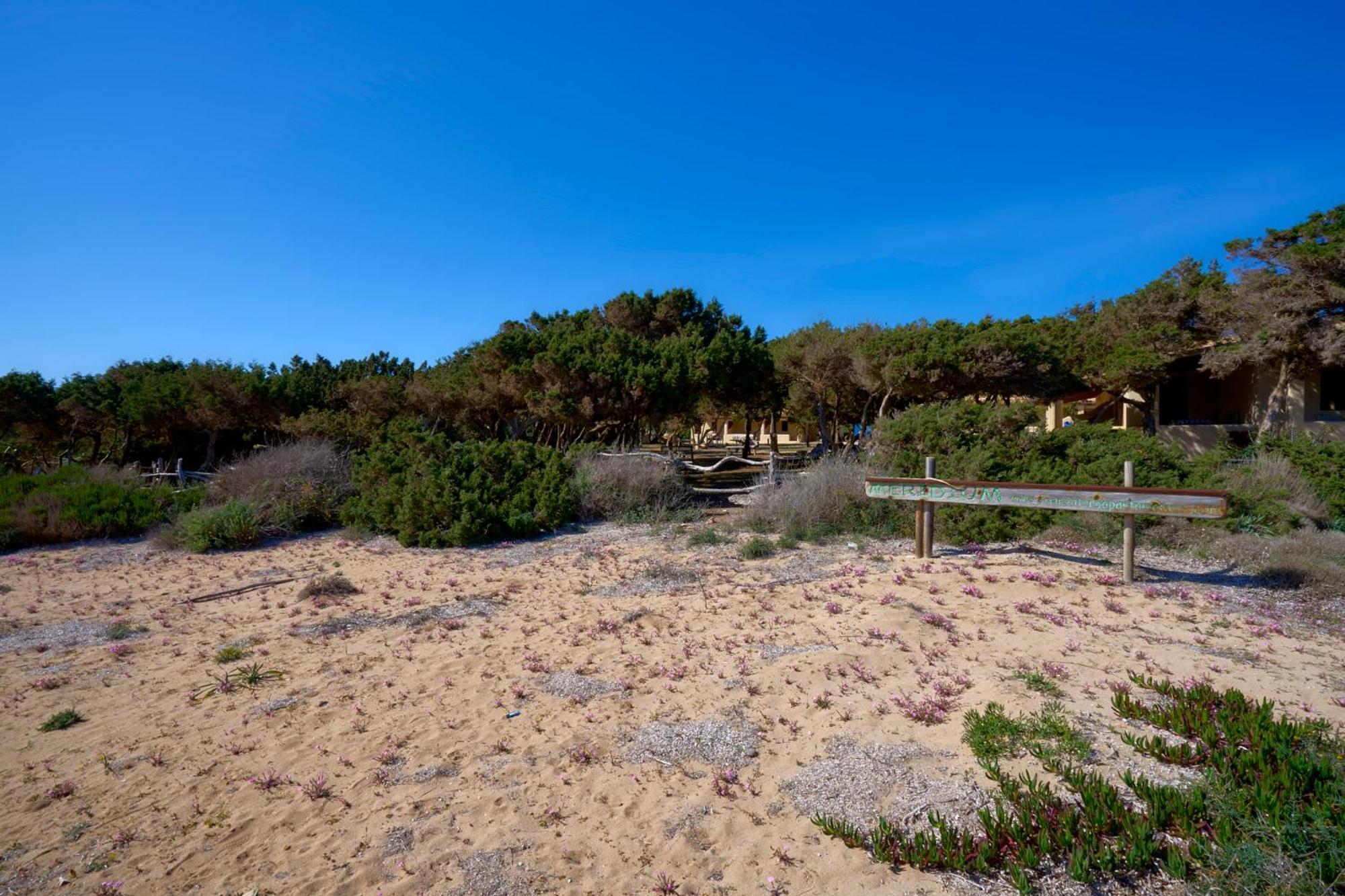 Meridium Formentera By Tentol Hotels Playa Migjorn Luaran gambar